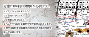 治療には科学的根拠が必要です。
